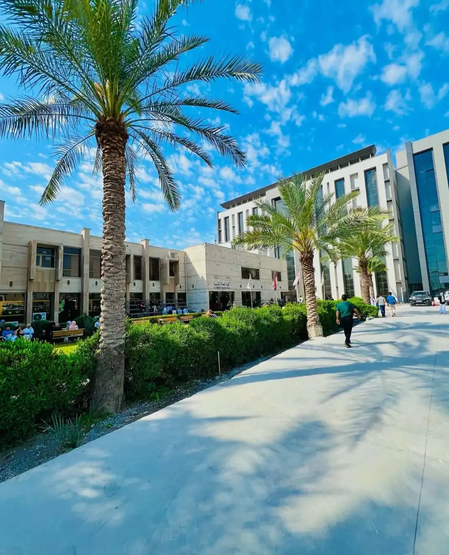 ممرات الحرم الجامعي بين النخيل